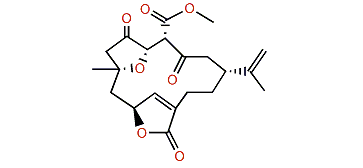 4-Carbomethoxyl-10-epigyrosanolide E